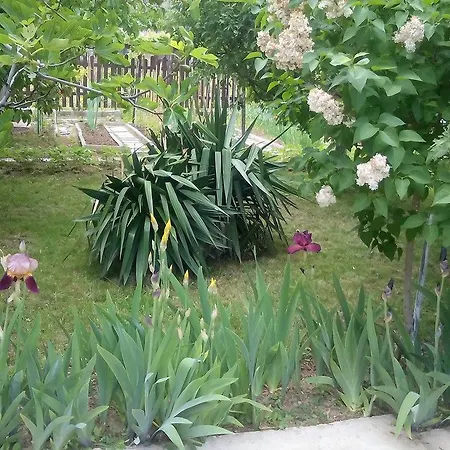 By The Captain Guest house *